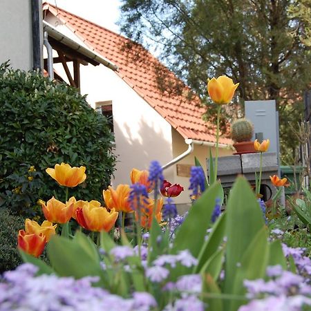 Maya Guesthouse Έγκερ Εξωτερικό φωτογραφία